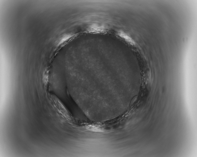 X0000084521206200703161541