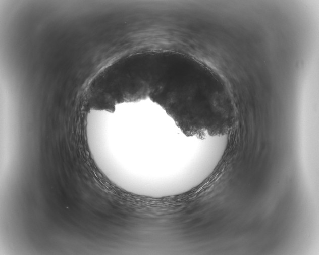 X0000084521207200703161541