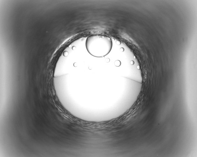 X0000084521208200703161541