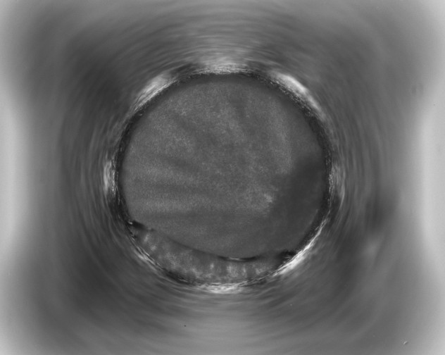 X0000084521209200703161541