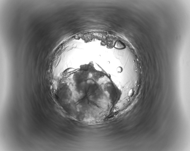 X0000084521211200703161541