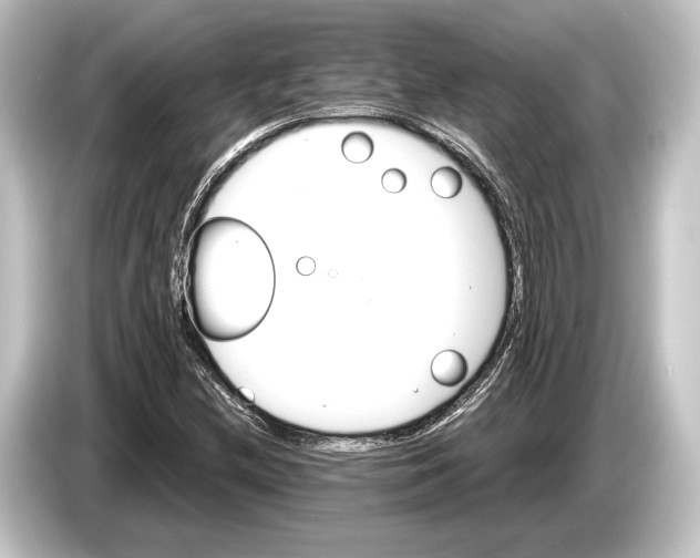 X0000084521212200703161541