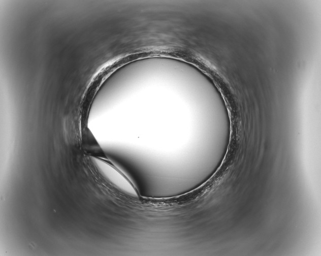 X0000084521214200703161541