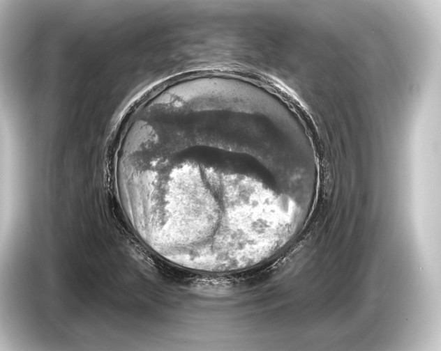 X0000084521215200703161541