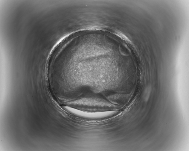 X0000084521216200703161541