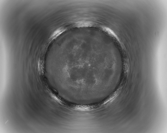 X0000084521217200703161541