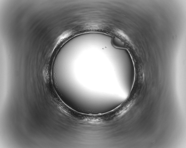 X0000084521218200703161541