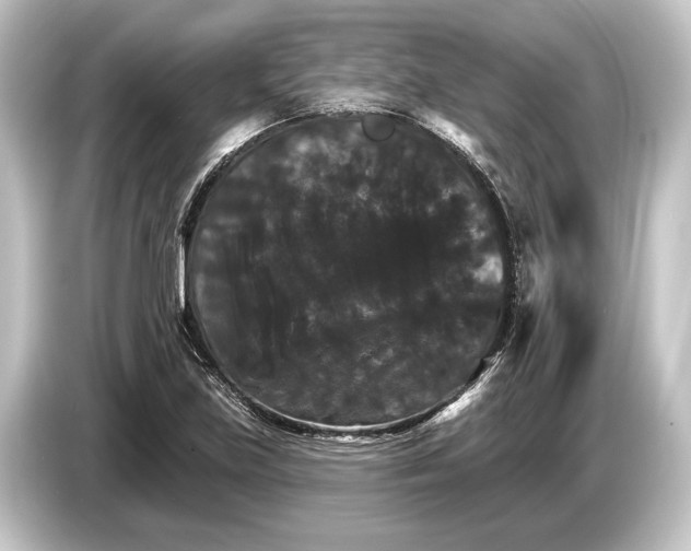 X0000084521219200703161541