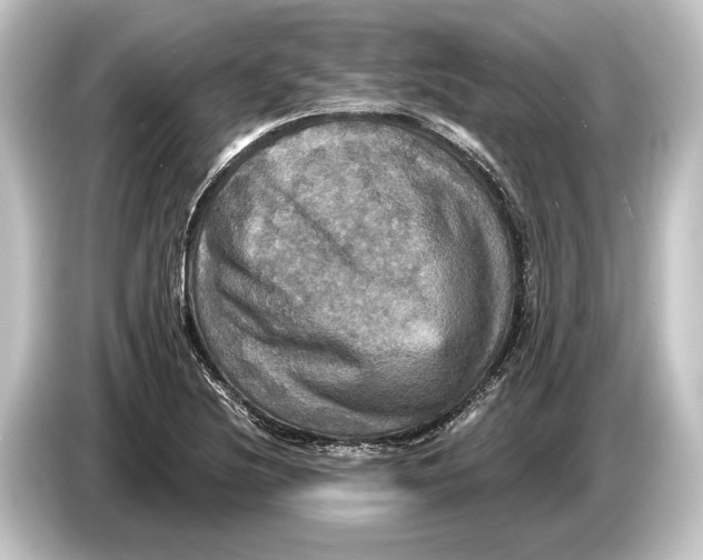 X0000084521220200703161541