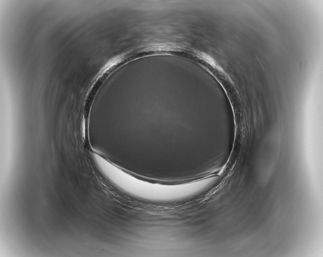 X0000084521221200703161541