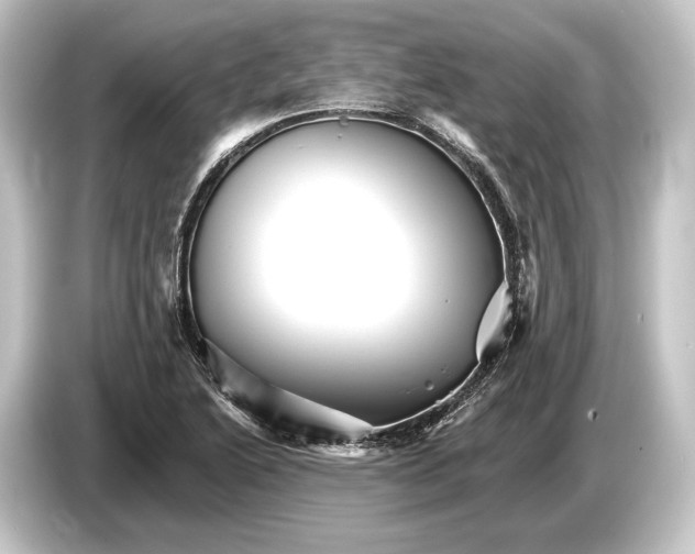 X0000084521222200703161541