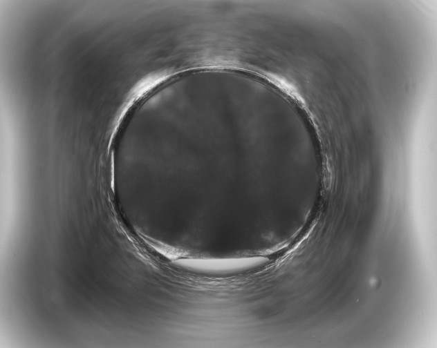 X0000084521223200703161541