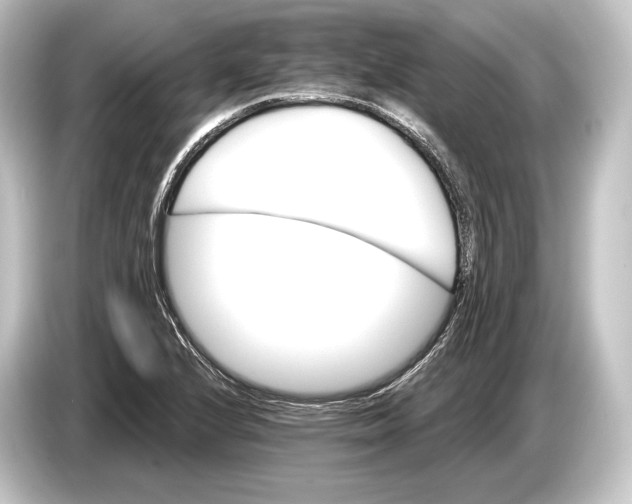 X0000084521224200703161541