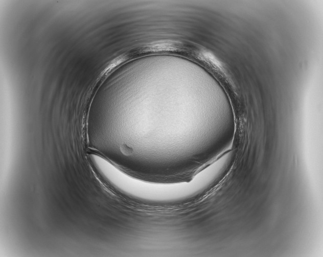 X0000084521225200703161541