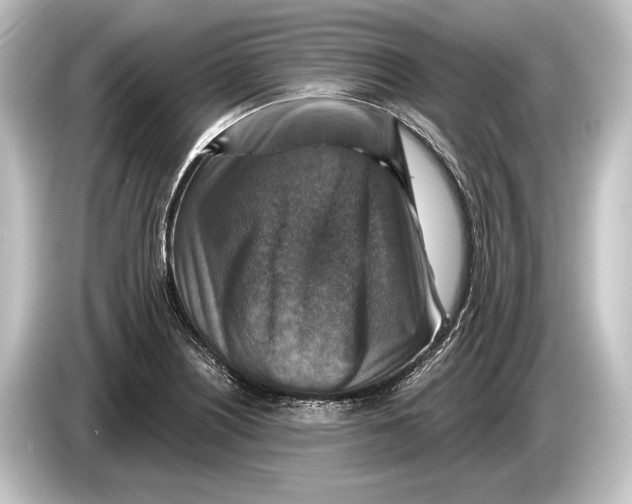 X0000084521226200703161541