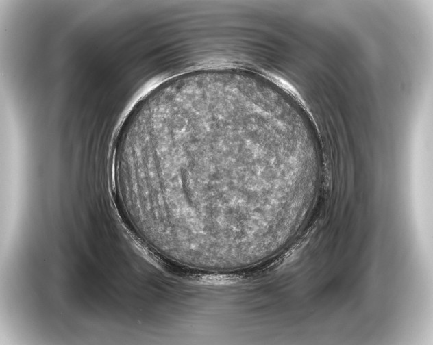 X0000084521227200703161541