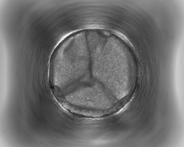 X0000084521228200703161541