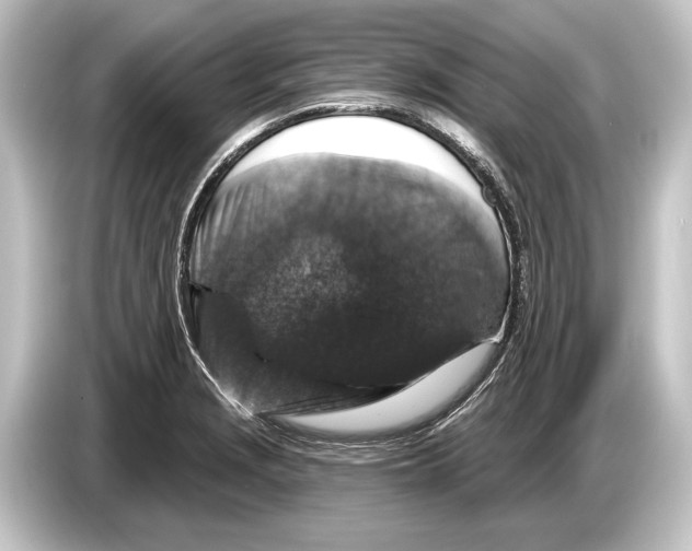 X0000084521229200703161541