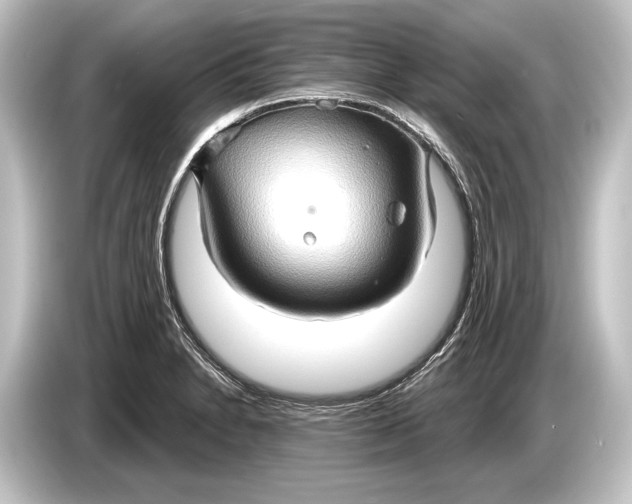 X0000084521230200703161541