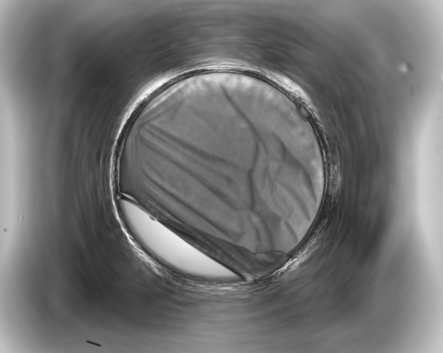 X0000084521231200703161541