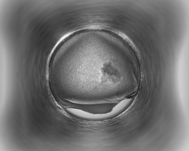 X0000084521232200703161541