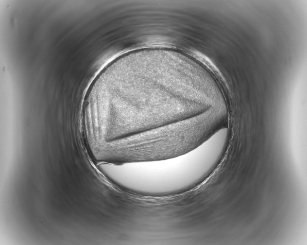 X0000084521236200703161541