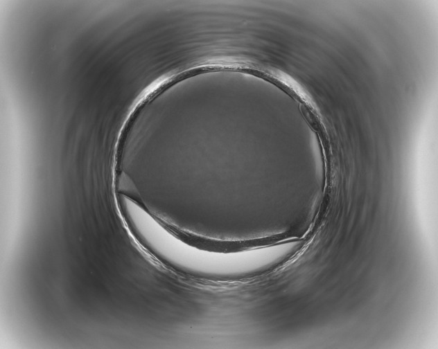 X0000084521237200703161541