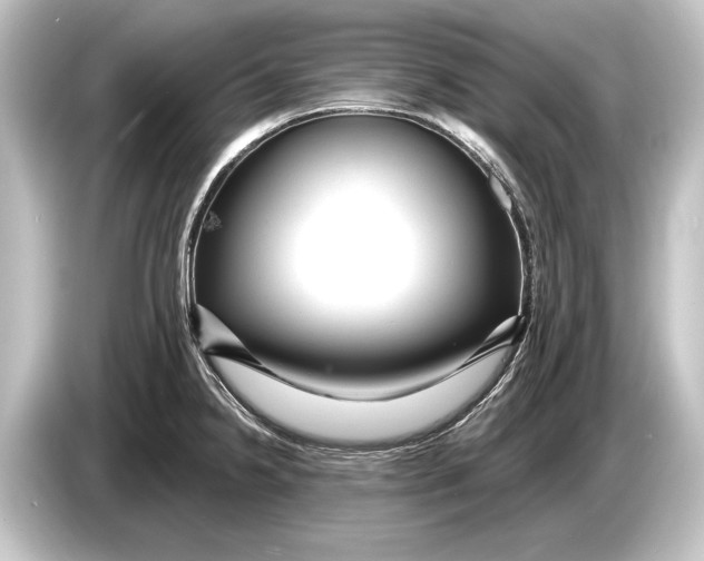 X0000084521238200703161541