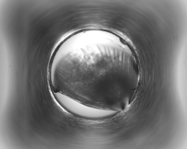 X0000084521239200703161541