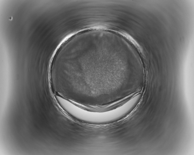 X0000084521240200703161541