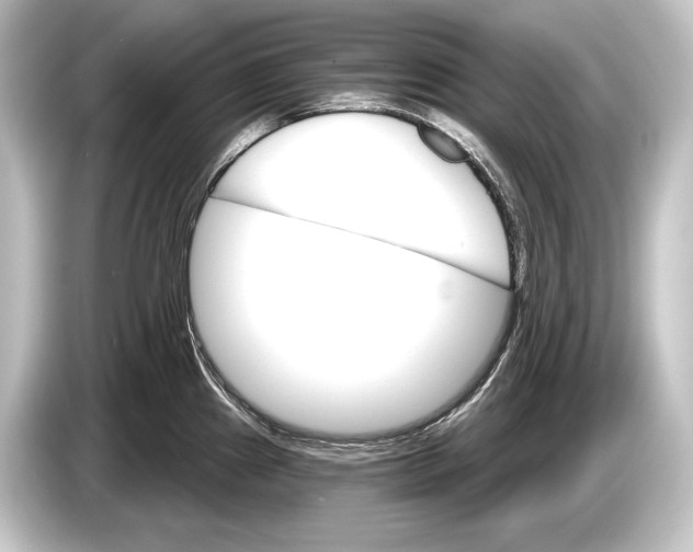 X0000084521241200703161541