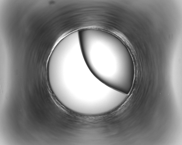 X0000084521242200703161541