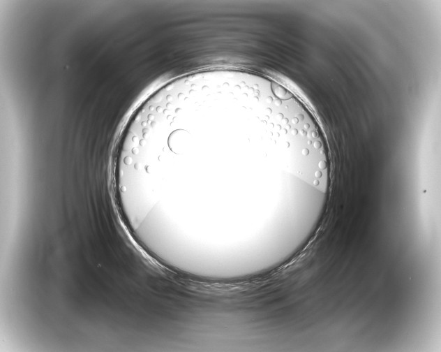 X0000084521243200703161541