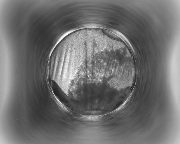 X0000084521244200703161541