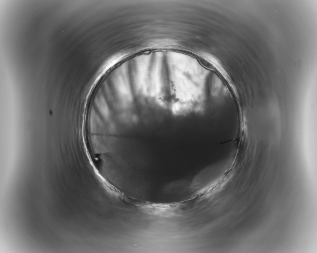 X0000084521245200703161541