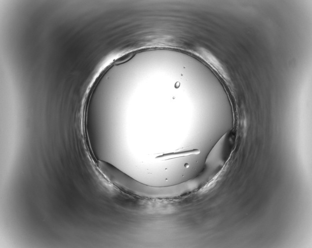 X0000084521246200703161541