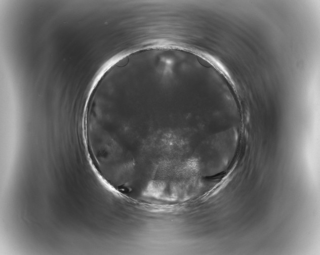 X0000084521247200703161541