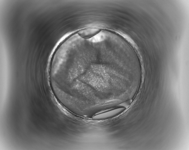 X0000084521248200703161541