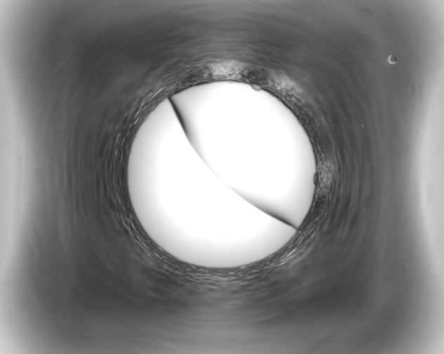 X0000084521249200703161541