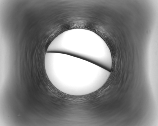 X0000084521250200703161541