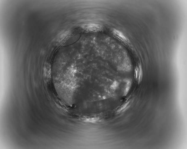 X0000084521251200703161541