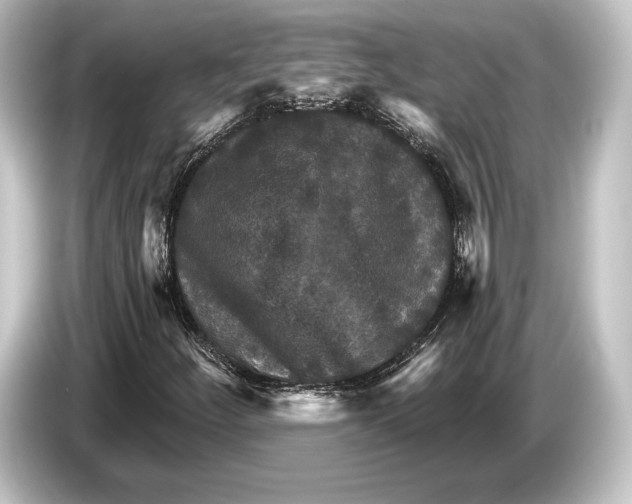 X0000084521252200703161541