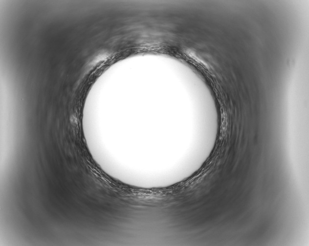 X0000084521254200703161541