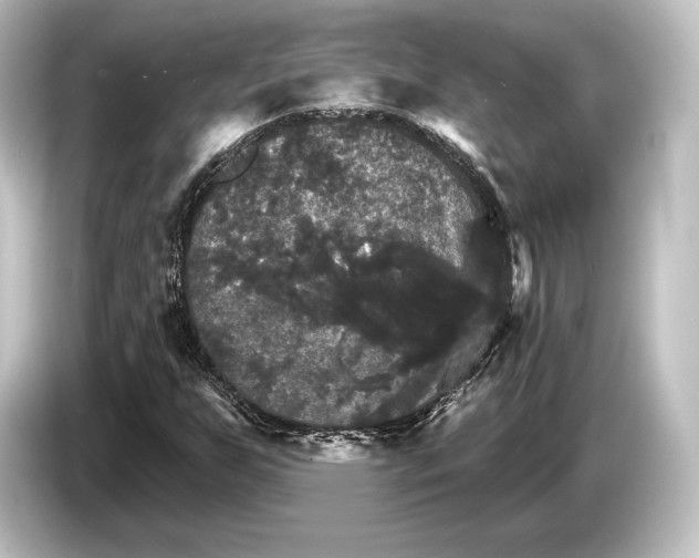 X0000084521255200703161541