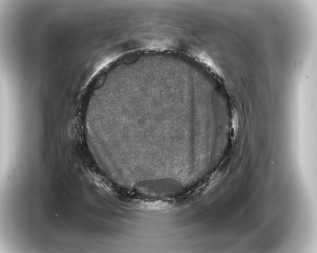 X0000084521256200703161541