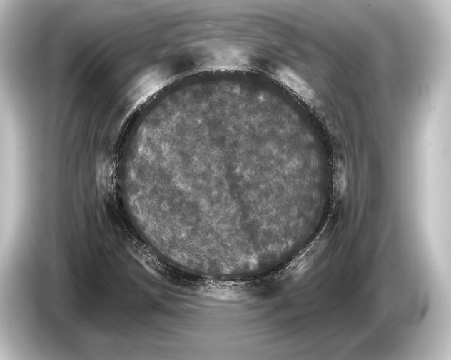 X0000084521258200703161541