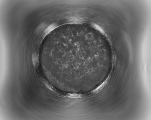 X0000084521259200703161541