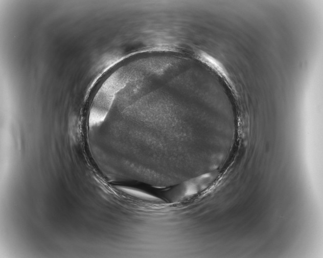 X0000084521260200703161541