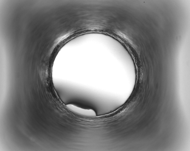 X0000084521261200703161541