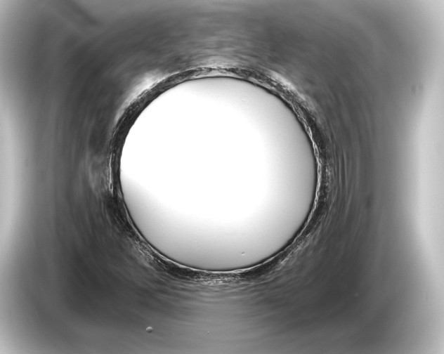 X0000084521262200703161541